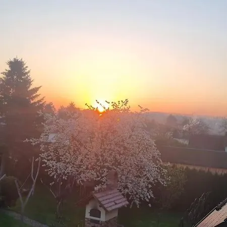 Apartman *zur Weinbergstrasse* *