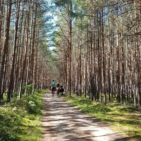 *zur Weinbergstrasse* Lägenhet Lauta