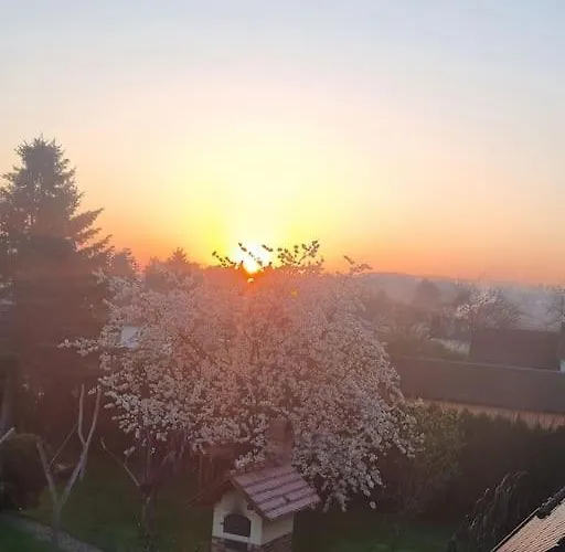 شقة *zur Weinbergstrasse* *