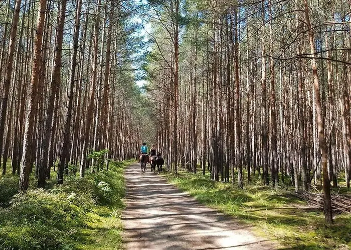 *zur Weinbergstrasse* アパート Lauta